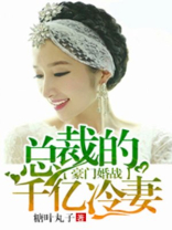 豪门婚战：总裁的千亿冷妻