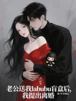 老公送我labubu盲盒后，我提出离婚