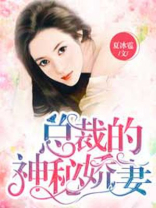 总裁的神秘娇妻