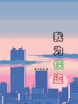 我为侠盗