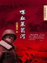 喋血莱茵河