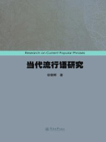 当代流行语研究