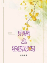 穿越之独孤求琦