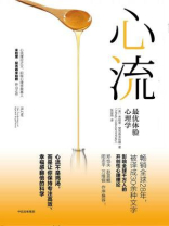 心流:最优体验心理学 心流:最优体验心理学