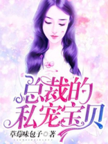总裁的私宠宝贝
