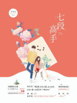 七段高手