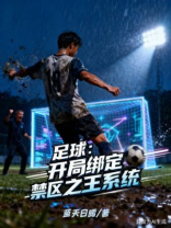 足球：开局绑定禁区之王系统
