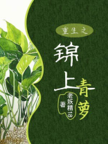 重生之锦上青箩