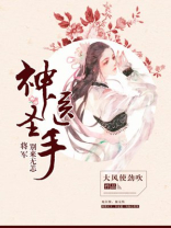 神医圣手，将军别来无恙