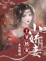 穿越之王爷独宠小娇妻