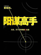 阳谋高手
