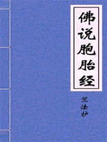 佛说胞胎经