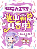 猫猫大王驾到，冰山霸总真香啦