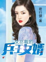女总裁的兵王女婿