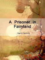 A Prisoner in Fairyland A Prisoner in Fairyland