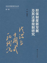 担保制度新发展及其法律规制研究