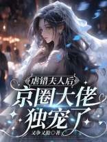 虐错夫人后，京圈大佬独宠了