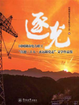 逐光：国网湖南电力职工“喜迎二十大·永远跟党走”文学作品集