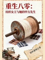 重生八零：纺织女王与她的甲方先生