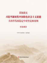 贯彻落实习近平新时代中国特色社会主义思想在改革发展稳定中攻坚克难案例：社会建设