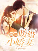 顾少暖婚小娇妻
