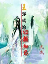王穿越的红颜知己