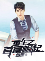 重生之首富崛起