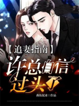 追妻指南：许总自信过头了