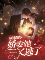 权爷的掌心宠：娇妻她又逃了