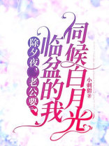 除夕夜，老公要临盆的我伺候白月光