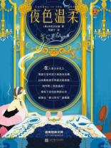 夜色温柔（读客经典文库）