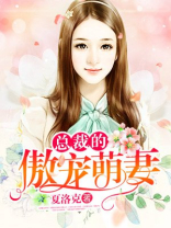 总裁的傲宠萌妻