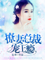 撩妻总裁宠上瘾