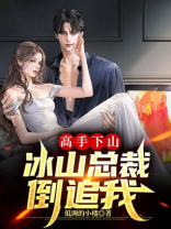 高手下山：冰山总裁倒追我