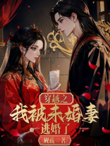 穿越之我被未婚妻逃婚了