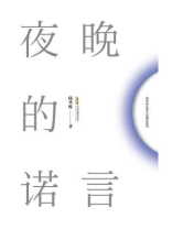 邱华栋都市小说作品系列（4种）：夜晚的诺言