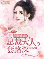闪婚成宠：总裁大人套路深