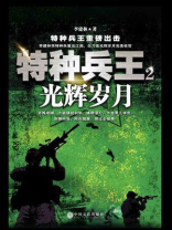 特种兵王 2：光辉岁月