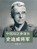 中国战区参谋长史迪威将军
