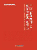 中国宏观发展的政治经济学