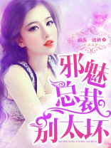 邪魅总裁别太坏
