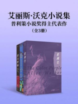 艾丽斯·沃克小说集：普利策小说奖得主代表作（套装共3册）