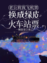 老公将我飞机票换成绿皮火车站票