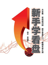 新手学看盘大全集（实战技巧版）