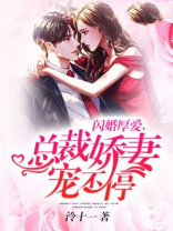 闪婚厚爱，总裁娇妻宠不停
