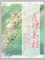 月映高枝，重生换嫁后我扶摇直上