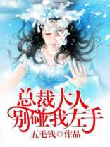 总裁大人，别碰我左手