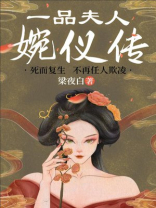 一品夫人：婉仪传