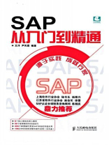 SAP从入门到精通（计算机行业应用软件系列）
