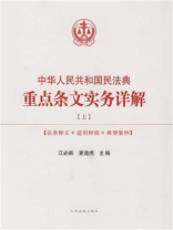 中华人民共和国民法典重点条文实务详解（上）